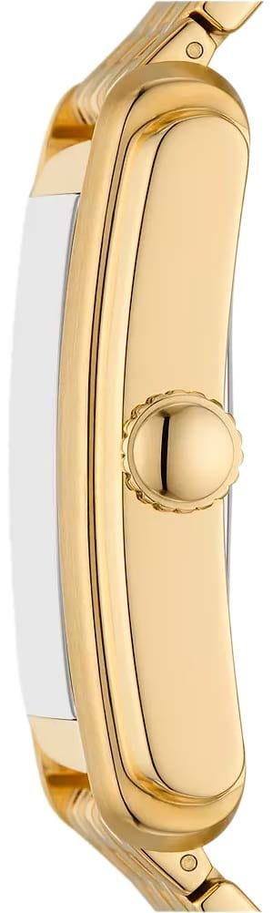 Оригинальные часы Fossil Fossil Carraway FS6009 кварцевые калибр механизма  общий вид