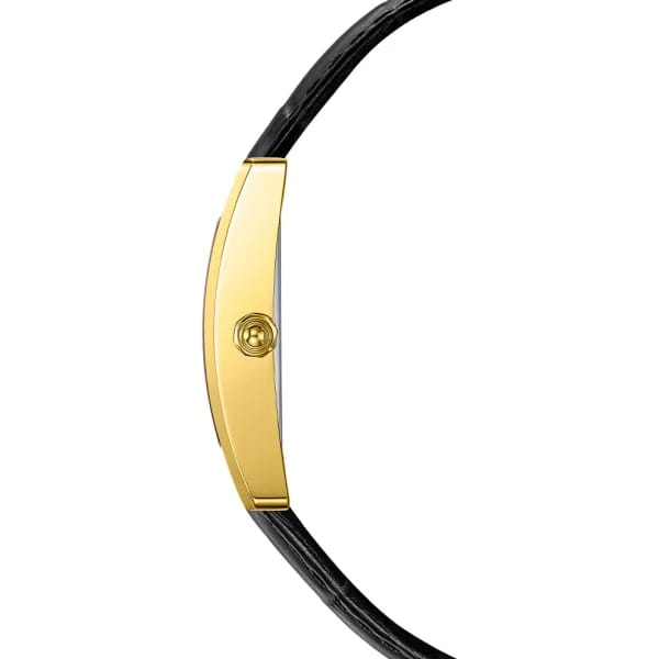 Jacques Philippe Jacques Philippe Hora JPQLS652173 , наручные мужские часы фото под углом