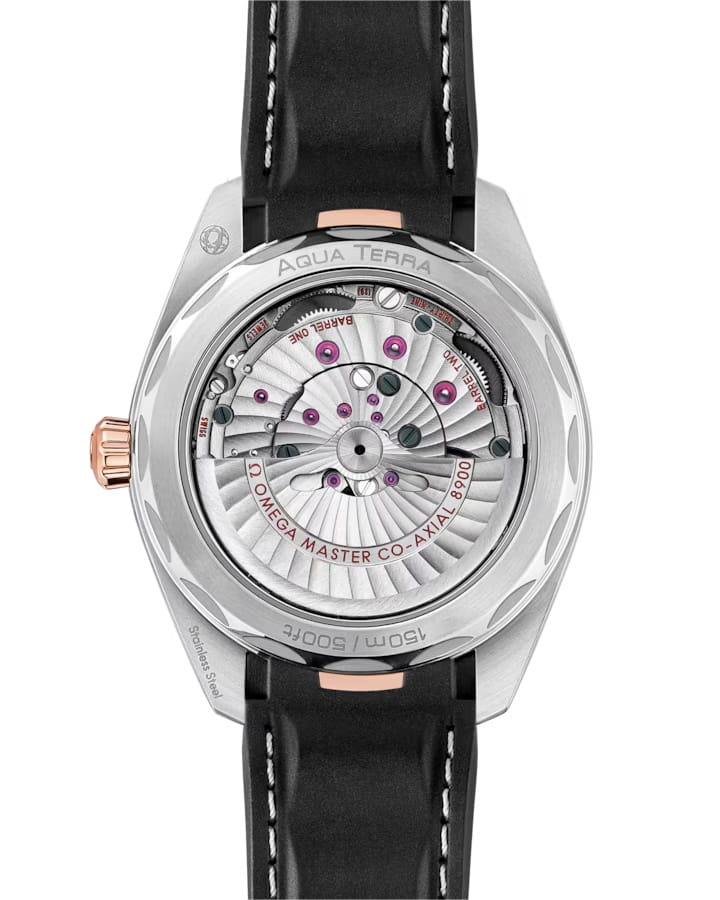 Omega Omega Seamaster Aqua Terra 220.22.41.21.02.001 Aqua Terra, наручные мужские часы фото под углом