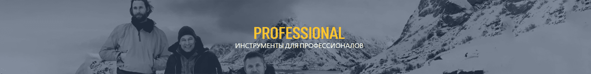 Professional