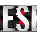 Diesel DZ2191SET