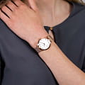Rosefield Rosefield Tribeca TWR-T50  — детали корпуса и сталь c pvd покрытием