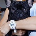 Casio Casio G-Shock GBD-800-7 — полный набор фото мужские часы япония