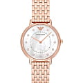 Emporio Armani Emporio Armani AR11006  AR11006 кварцевые женские часы перламутровый циферблат, браслет  — вид спереди