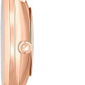Оригинальные часы Swarovski Swarovski Crystalline Delight 5642218 кварцевые калибр механизма  общий вид