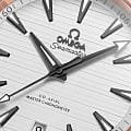 Omega 22022412102001
