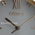 Часы Citizen Eco-Drive EM0506-77A фото 3